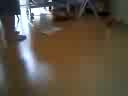 NCbNNCbN